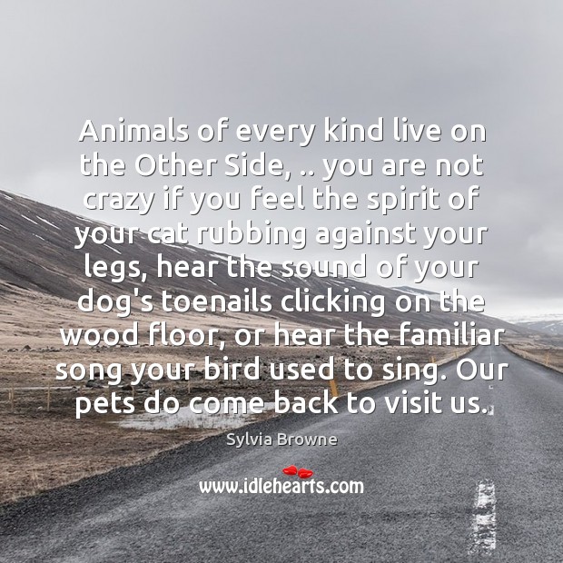 Animals of every kind live on the Other Side, .. you are not Sylvia Browne Picture Quote