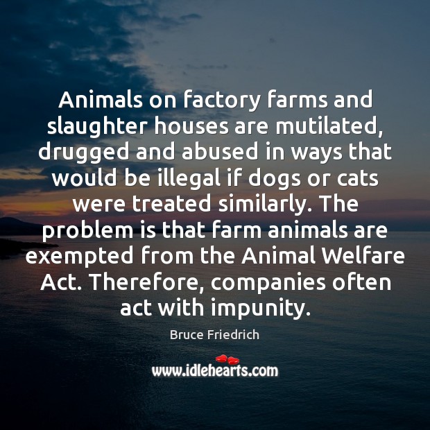 Animals on factory farms and slaughter houses are mutilated, drugged and abused Bruce Friedrich Picture Quote