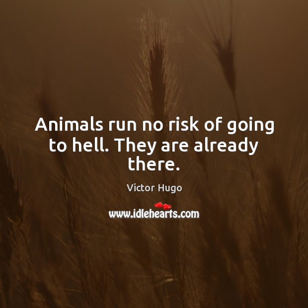 Animals run no risk of going to hell. They are already there. Victor Hugo Picture Quote