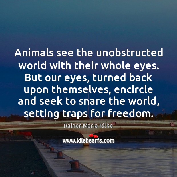 Animals see the unobstructed world with their whole eyes. But our eyes, Image