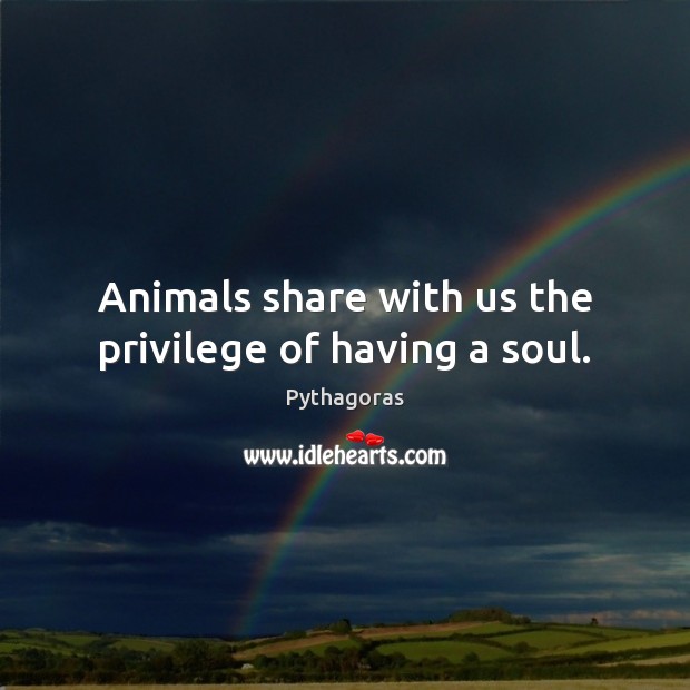 Animals share with us the privilege of having a soul. Pythagoras Picture Quote
