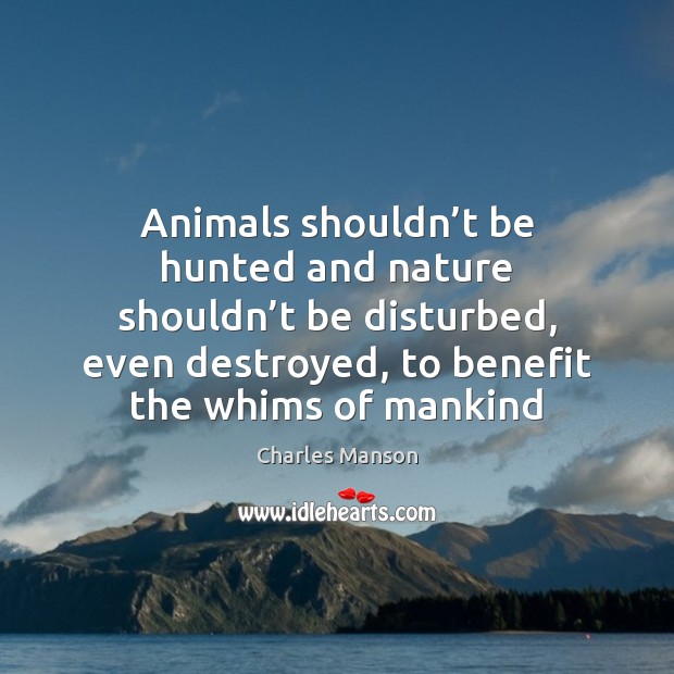 Animals shouldn’t be hunted and nature shouldn’t be disturbed, even Image
