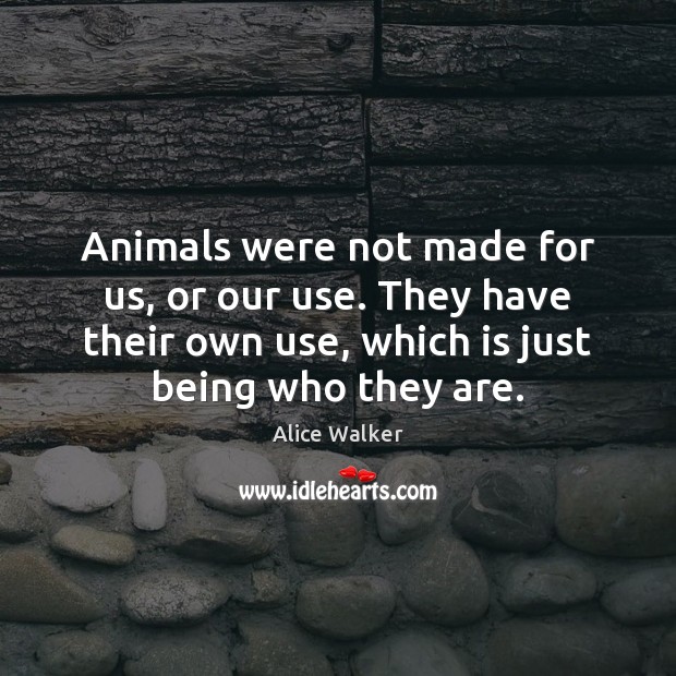 Animals were not made for us, or our use. They have their Alice Walker Picture Quote