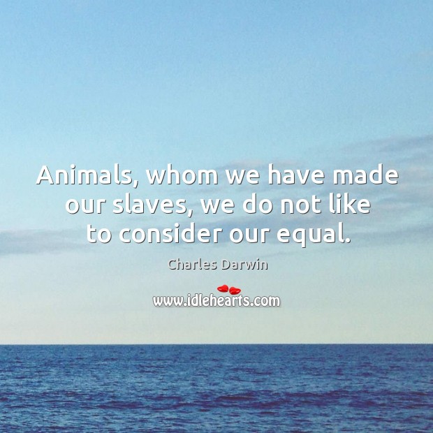 Animals, whom we have made our slaves, we do not like to consider our equal. Image