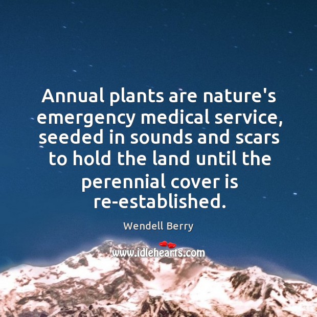 Annual plants are nature’s emergency medical service, seeded in sounds and scars Wendell Berry Picture Quote