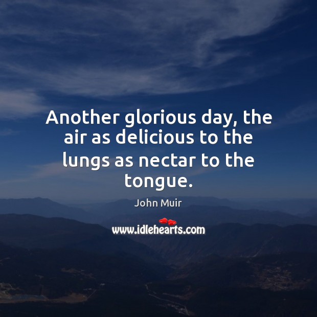 Another glorious day, the air as delicious to the lungs as nectar to the tongue. 