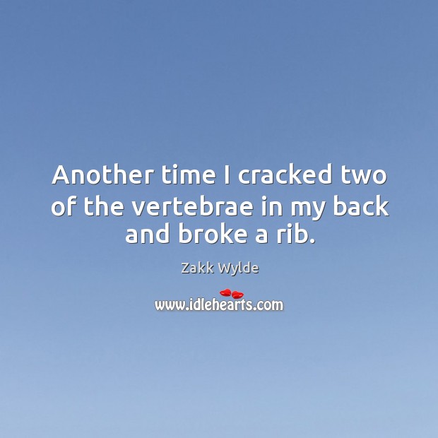 Another time I cracked two of the vertebrae in my back and broke a rib. Zakk Wylde Picture Quote