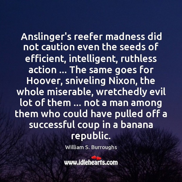 Anslinger’s reefer madness did not caution even the seeds of efficient, intelligent, William S. Burroughs Picture Quote