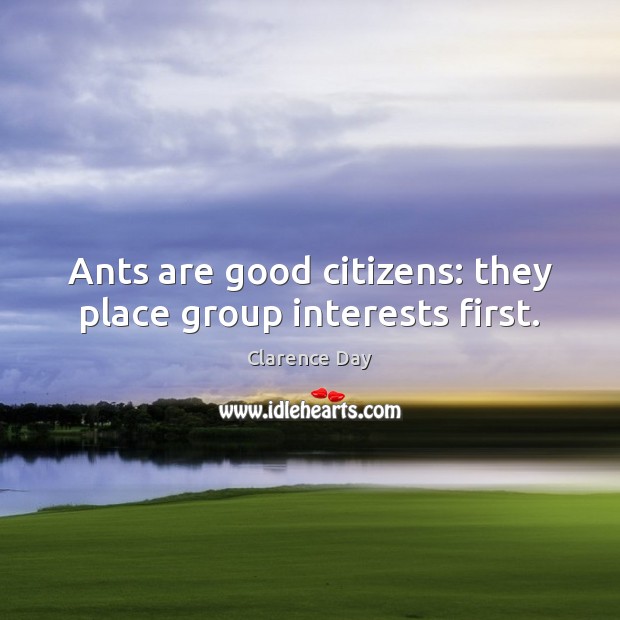 Ants are good citizens: they place group interests first. Clarence Day Picture Quote
