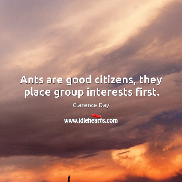 Ants are good citizens, they place group interests first. Clarence Day Picture Quote
