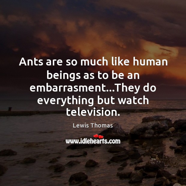 Ants are so much like human beings as to be an embarrasment… Image