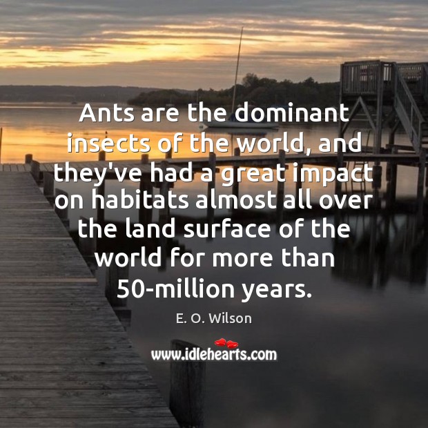 Ants are the dominant insects of the world, and they’ve had a E. O. Wilson Picture Quote