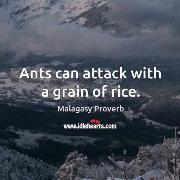 Ants can attack with a grain of rice. Malagasy Proverbs Image