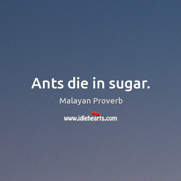 Ants die in sugar. Malayan Proverbs Image
