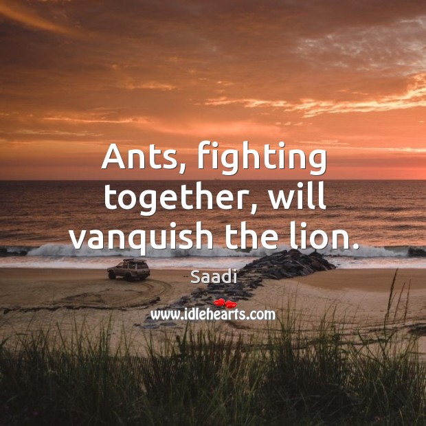 Ants, fighting together, will vanquish the lion. Image