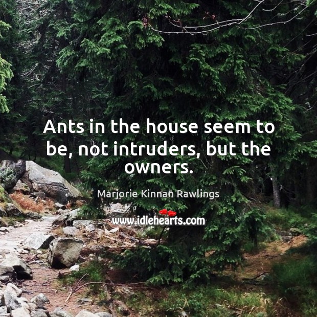 Ants in the house seem to be, not intruders, but the owners. Marjorie Kinnan Rawlings Picture Quote