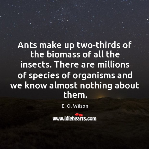 Ants make up two-thirds of the biomass of all the insects. There E. O. Wilson Picture Quote