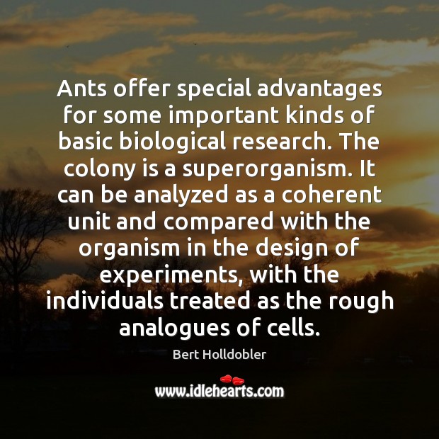 Ants offer special advantages for some important kinds of basic biological research. Bert Holldobler Picture Quote