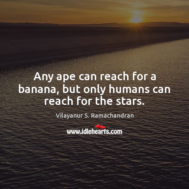 Any ape can reach for a banana, but only humans can reach for the stars. Image