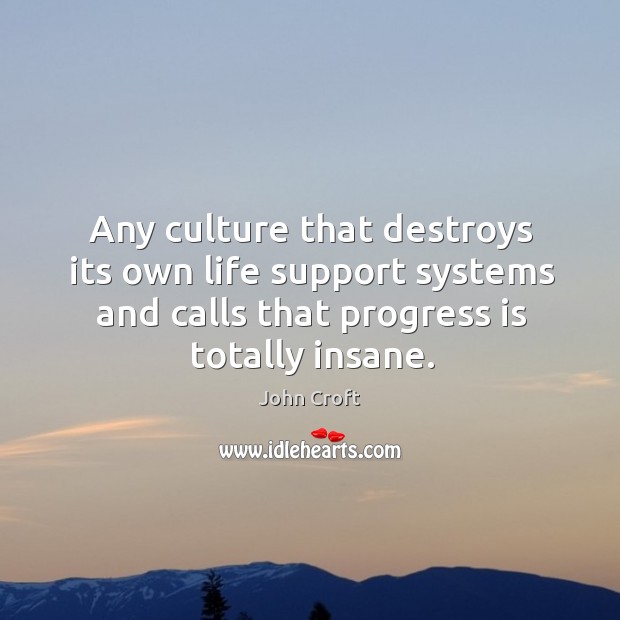 Any culture that destroys its own life support systems and calls that progress is totally insane. Progress Quotes Image