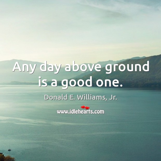 Any day above ground is a good one. Donald E. Williams, Jr. Picture Quote