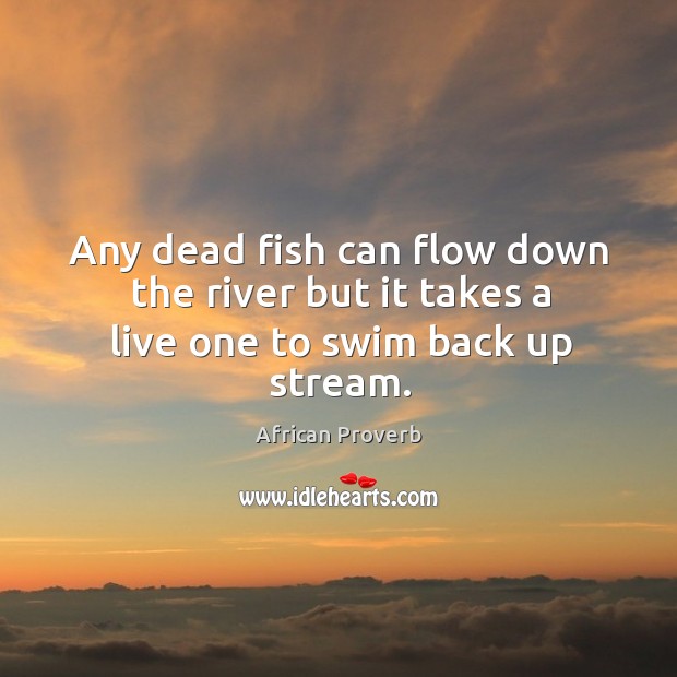 Any dead fish can flow down the river but it takes a live Image