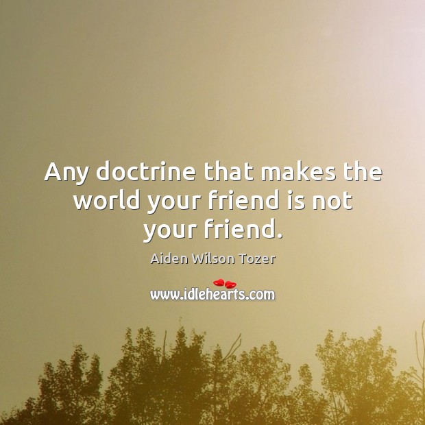 Any doctrine that makes the world your friend is not your friend. Image