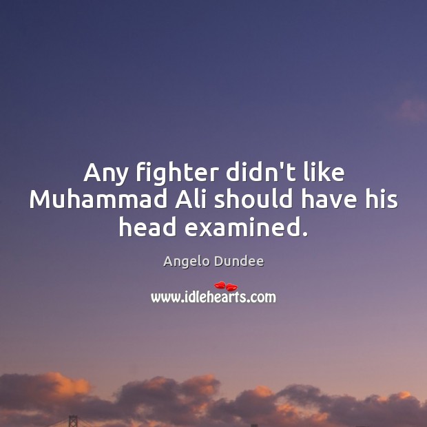 Any fighter didn’t like Muhammad Ali should have his head examined. Angelo Dundee Picture Quote