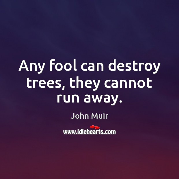 Any fool can destroy trees, they cannot run away. Image