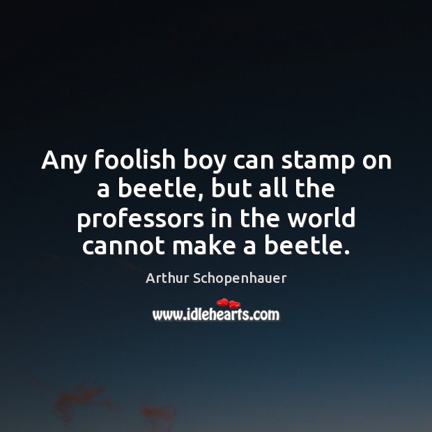 Any foolish boy can stamp on a beetle, but all the professors Arthur Schopenhauer Picture Quote