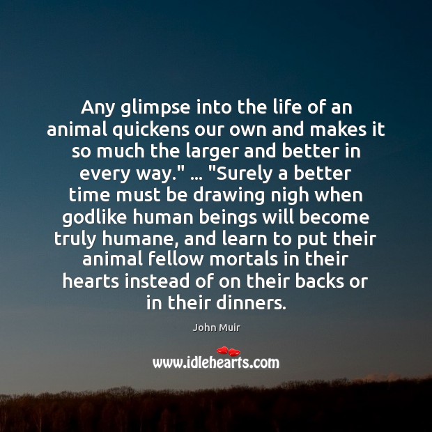 Any glimpse into the life of an animal quickens our own and John Muir Picture Quote