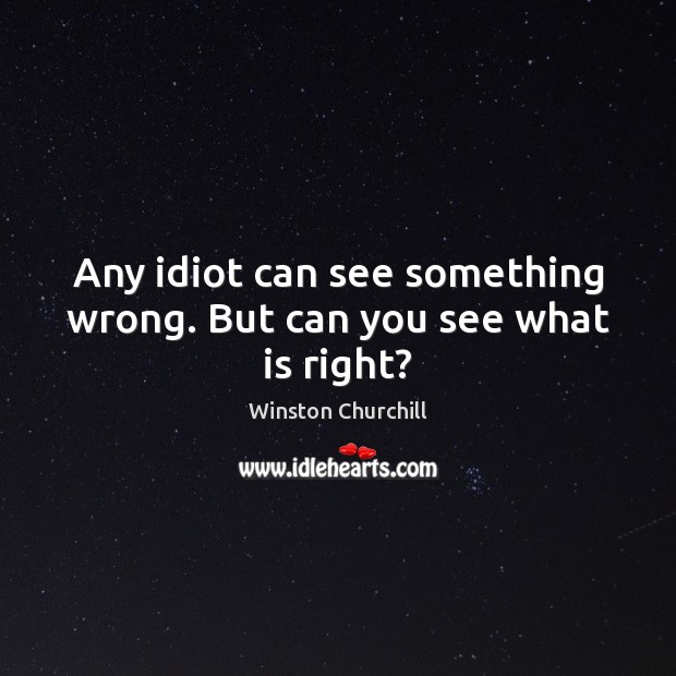 Any idiot can see something wrong. But can you see what is right? Winston Churchill Picture Quote