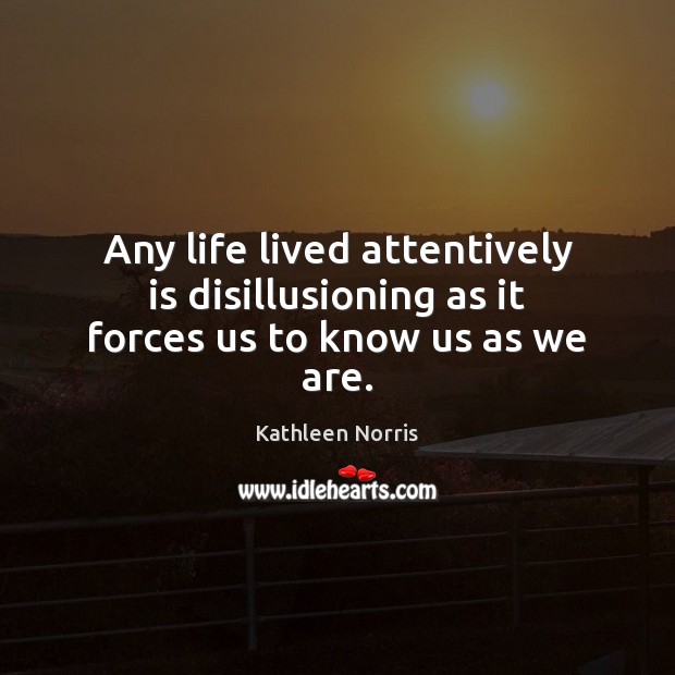 Any life lived attentively is disillusioning as it forces us to know us as we are. 