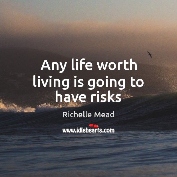 Any life worth living is going to have risks Image