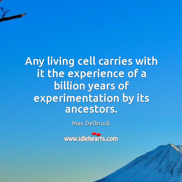 Any living cell carries with it the experience of a billion years of experimentation by its ancestors. Max Delbruck Picture Quote