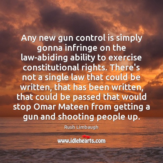 Any new gun control is simply gonna infringe on the law-abiding ability Image