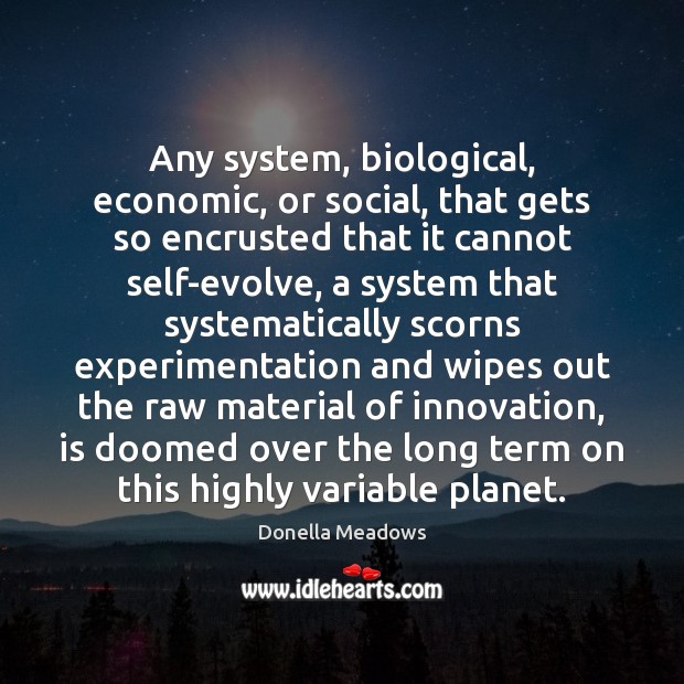 Any system, biological, economic, or social, that gets so encrusted that it Donella Meadows Picture Quote