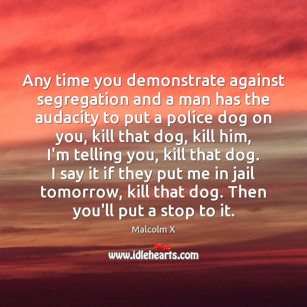 Any time you demonstrate against segregation and a man has the audacity Malcolm X Picture Quote
