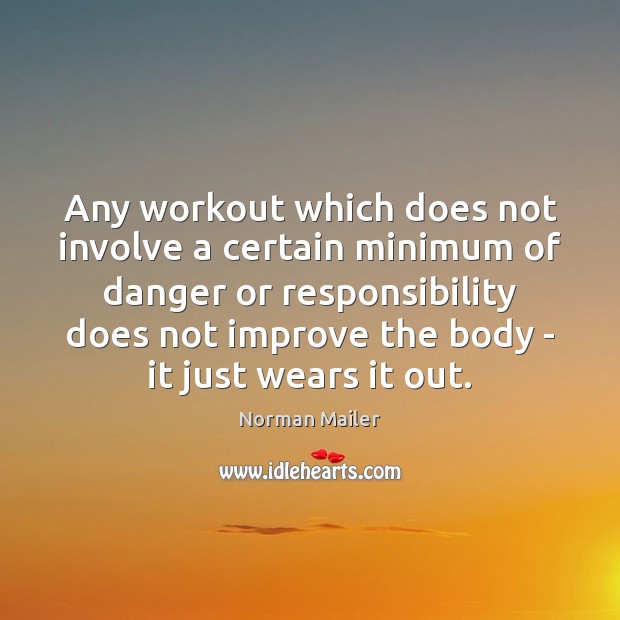 Any workout which does not involve a certain minimum of danger or Norman Mailer Picture Quote