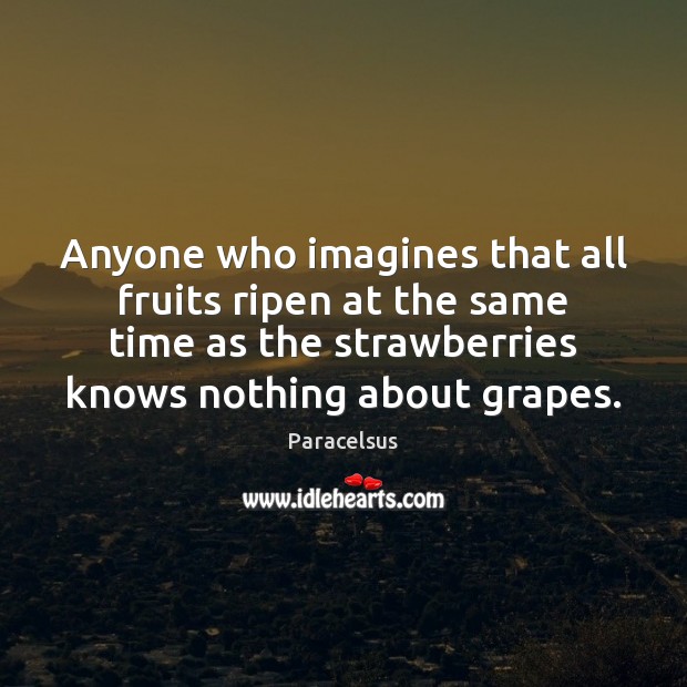 Anyone who imagines that all fruits ripen at the same time as Paracelsus Picture Quote