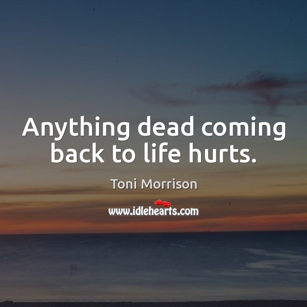 Anything dead coming back to life hurts. Toni Morrison Picture Quote