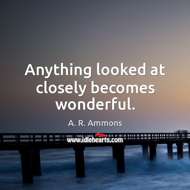 Anything looked at closely becomes wonderful. A. R. Ammons Picture Quote