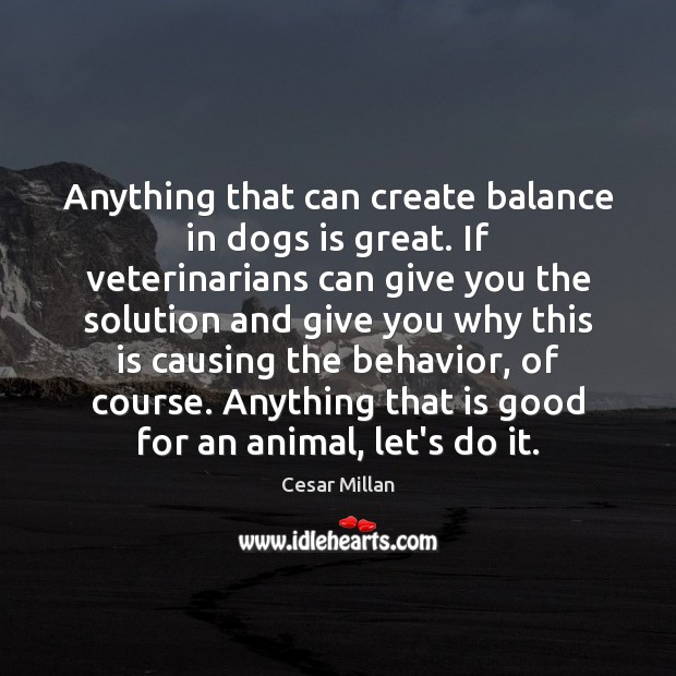 Anything that can create balance in dogs is great. If veterinarians can 