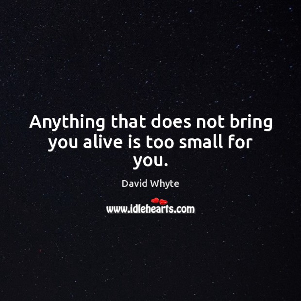 Anything that does not bring you alive is too small for you. David Whyte Picture Quote