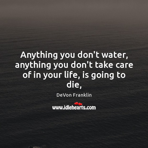 Anything you don’t water, anything you don’t take care of in your life, is going to die, Image
