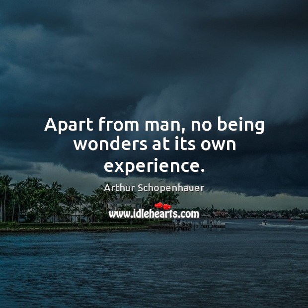Apart from man, no being wonders at its own experience. Arthur Schopenhauer Picture Quote