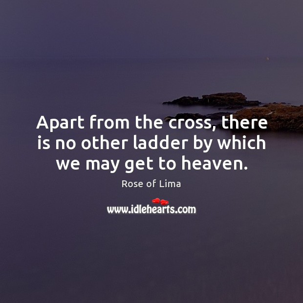 Apart from the cross, there is no other ladder by which we may get to heaven. Image