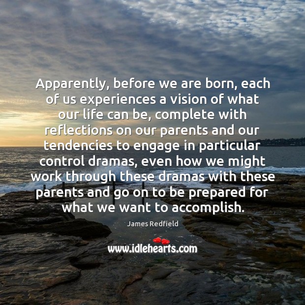 Apparently, before we are born, each of us experiences a vision of Image