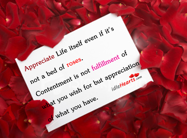Appreciate life itself even if it’s not a bed of Appreciate Quotes Image