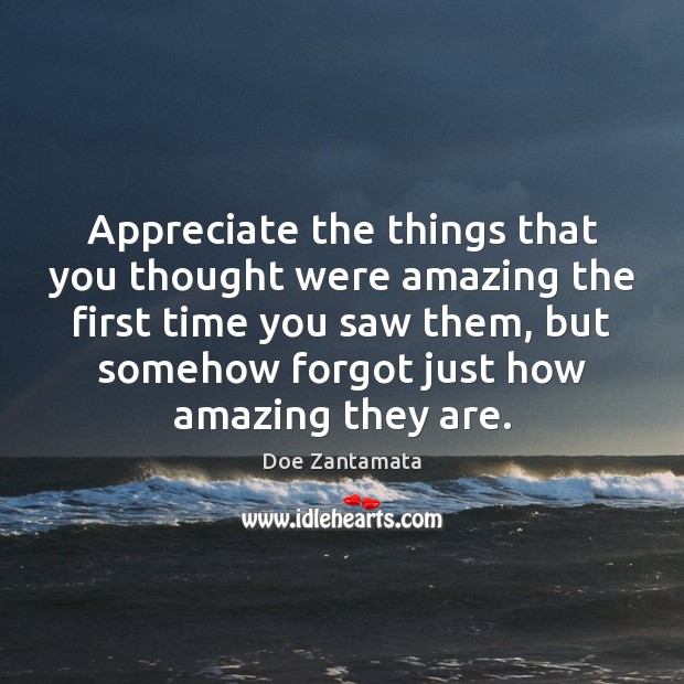 Appreciate the things that you thought were amazing the first time you saw them Doe Zantamata Picture Quote
